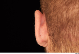 Dave ear 0003.jpg